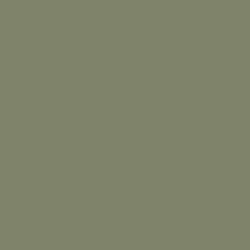 M026 oliwkowy pomat RAL6013
