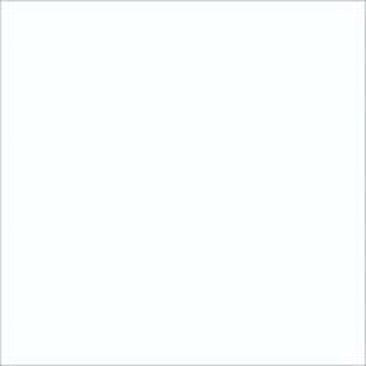 bialy-ral-9003s